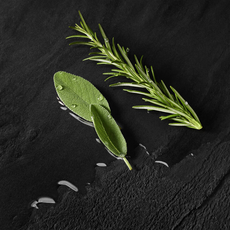 Verse salie- en rozemarijnbladeren met waterdruppels op een zwarte ondergrond.