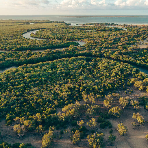 Luchtfoto van een weelderig, groen mangrovebos, doorsneden door een kronkelende rivier. Deze afbeelding vertegenwoordigt Armani's toewijding aan duurzame praktijken en een "Ontworpen om te blijven"-filosofie.