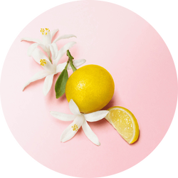 Bergamot and orange blossom on a soft pink background — bergamot from Calabria and orange blossom top notes of My Way Eau de Parfum by Giorgio Armani.