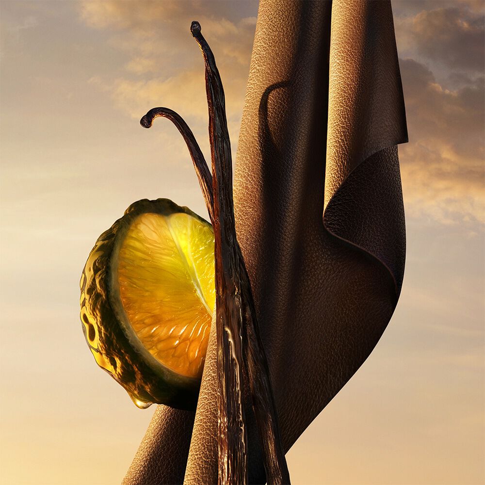 Giorgio Armani I WILL Eau de Parfum ingredients with bergamot, Madagascar vanilla, and woody leather. A dark vanilla fragrance.