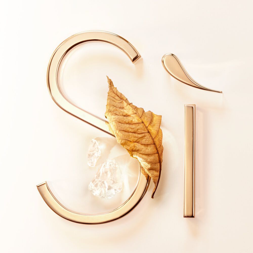 Golden dried leaf and white musks against the gold Si signature on a blush background — musky white woody chypre accord base note of Si Eau de Parfum by Giorgio Armani.