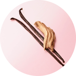 Vanilla beans from Madagascar and cedarwood from Virginia on a soft pink background — cedarwood, vanilla and white musks base notes of My Way Eau de Parfum by Giorgio Armani.