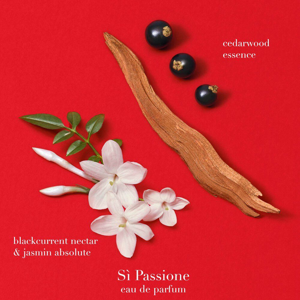 Armani Si Passione EDP ingredienten: roos, zwarte bes, patchouli en fresia op een lichte achtergrond.