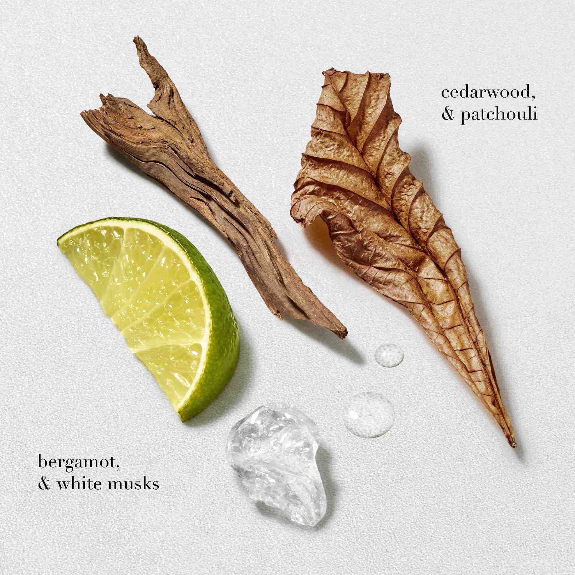 ACQUA DI GIO EAU DE TOILETTE 100ML CADEAUSET