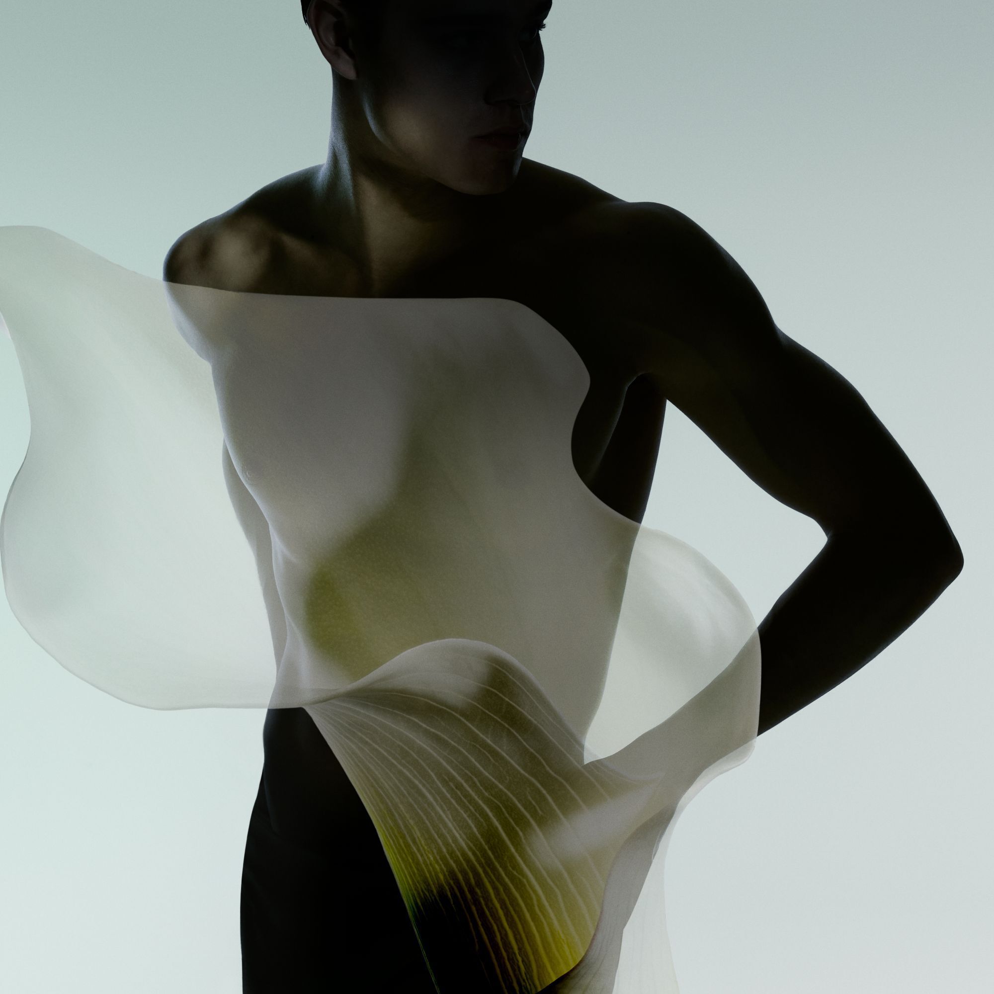 Armani/Prive Vert Malachite: gracieuze silhouet met vloeiende texturen, die de moderne elegantie en sensualiteit van de geur belichaamt.