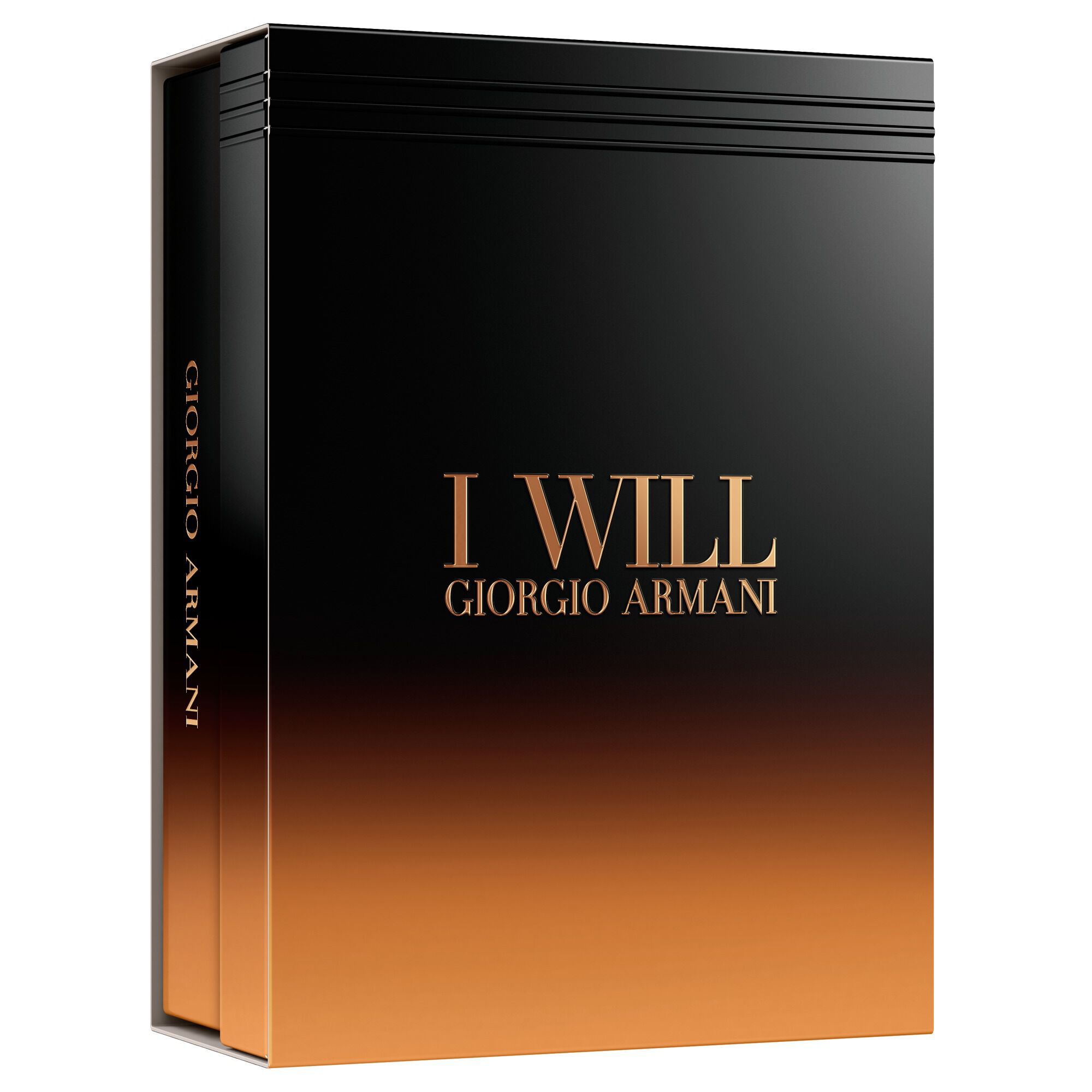 GIORGIO ARMANI I WILL 100ml feestgeschenkset