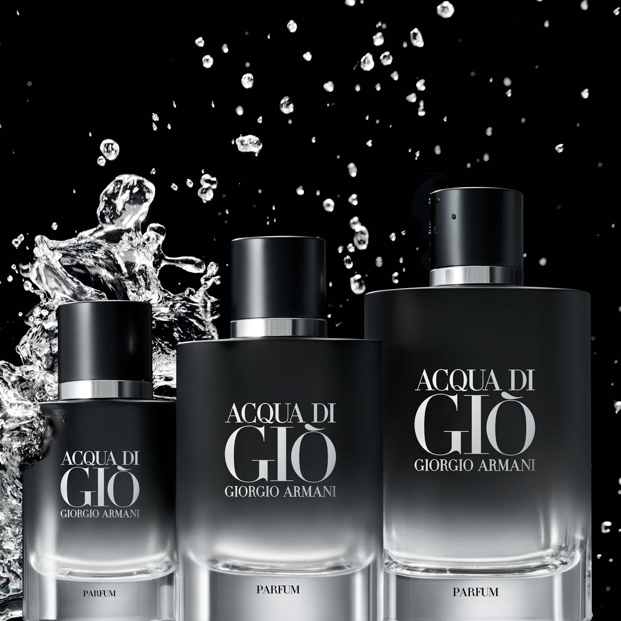 ACQUA DI GIO HERVULBARE PARFUM