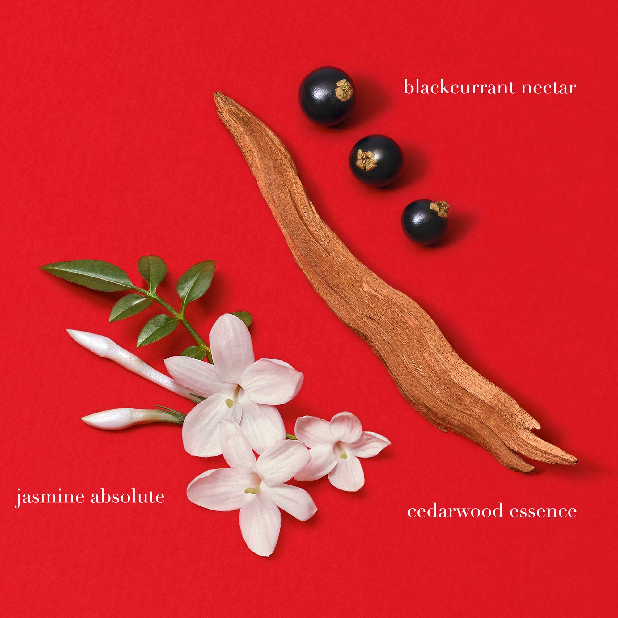 Si Passione Eau de Parfum - Hervulbare