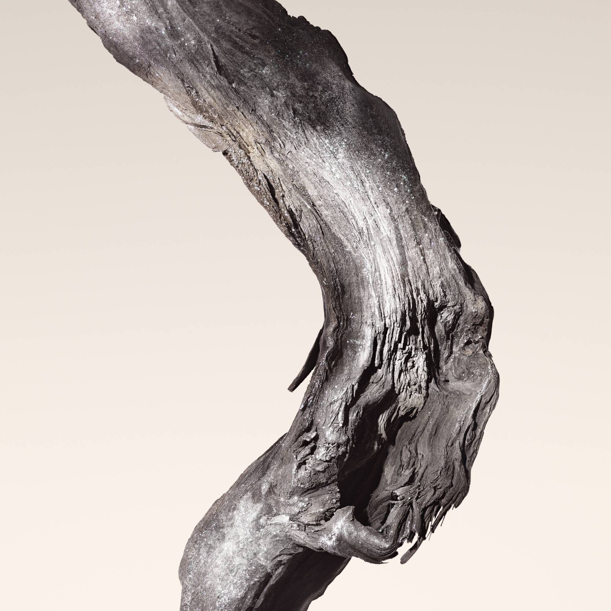 Close-up van een knoestachtig, donker, organisch hout met de hoofdnoot