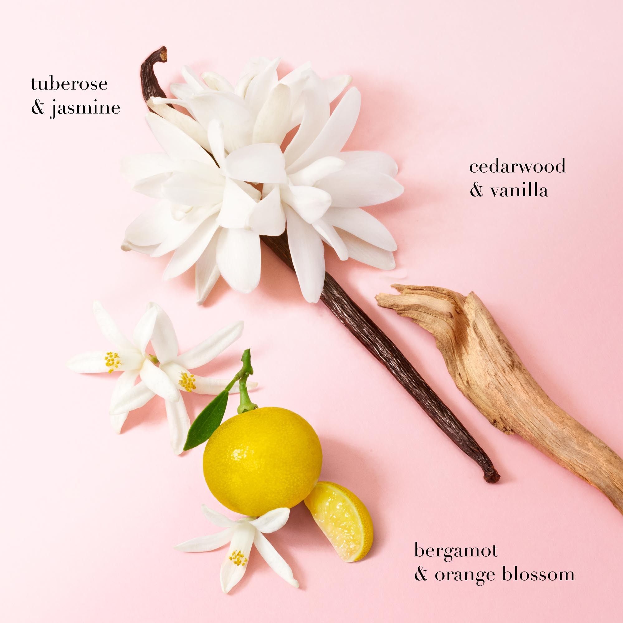 My Way Eau de Parfum met tuberoos, jasmijn, bergamot, oranjebloesem, cederhout en vanille, met ingredienten op een zachtroze achtergrond.
